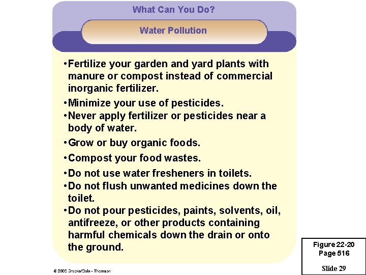 What Can You Do? Water Pollution • Fertilize your garden and yard plants with
