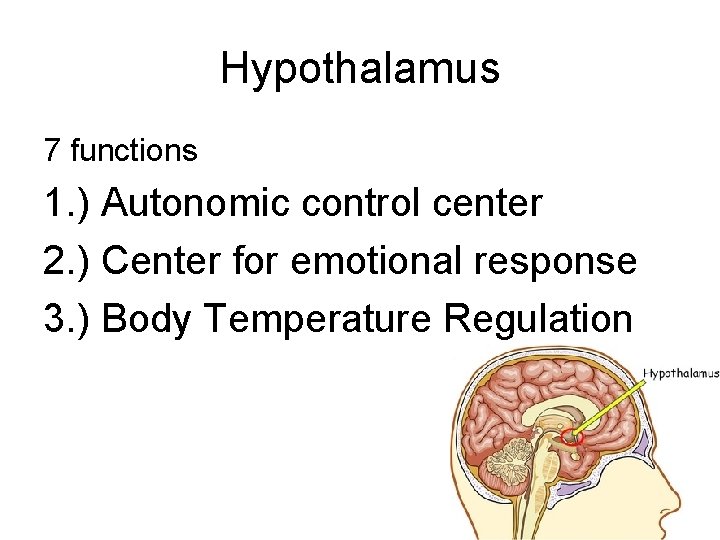 Hypothalamus 7 functions 1. ) Autonomic control center 2. ) Center for emotional response