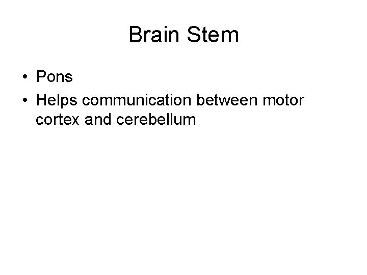 Brain Stem • Pons • Helps communication between motor cortex and cerebellum 
