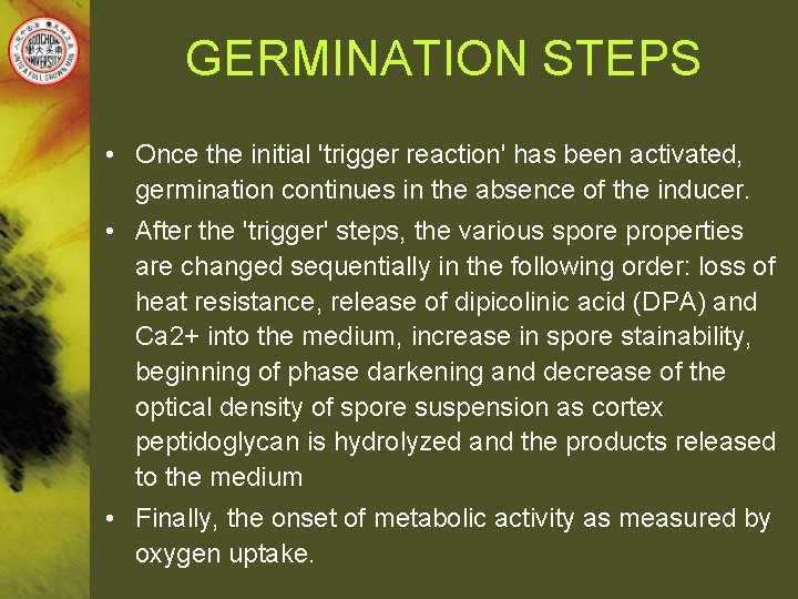 GERMINATION STEPS • Once the initial 'trigger reaction' has been activated, germination continues in