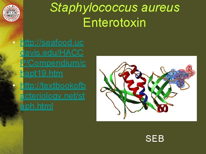 Staphylococcus aureus Enterotoxin • http: //seafood. uc davis. edu/HACC P/Compendium/c hapt 19. htm •