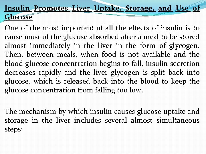 Insulin Promotes Liver Uptake, Storage, and Use of Glucose One of the most important