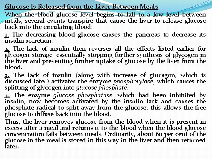 Glucose Is Released from the Liver Between Meals When the blood glucose level begins