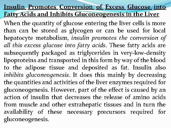 Insulin Promotes Conversion of Excess Glucose into Fatty Acids and Inhibits Gluconeogenesis in the