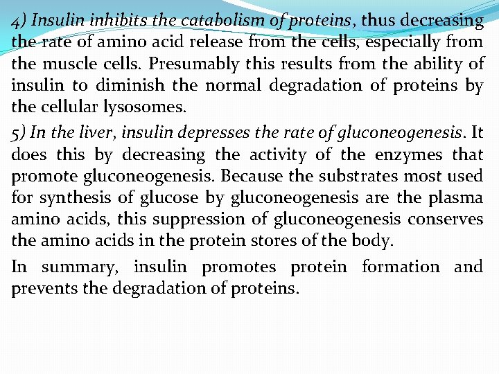 4) Insulin inhibits the catabolism of proteins, thus decreasing the rate of amino acid