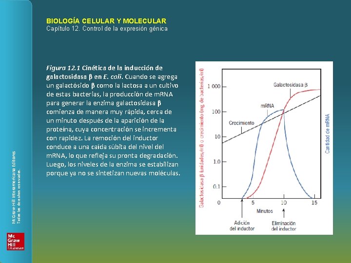 BIOLOGÍA CELULAR Y MOLECULAR Todos los derechos reservados. Mc. Graw-Hill Interamericana Editores Capítulo 12.