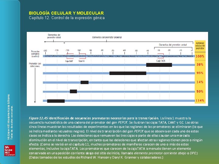 BIOLOGÍA CELULAR Y MOLECULAR Todos los derechos reservados. Mc. Graw-Hill Interamericana Editores Capítulo 12.