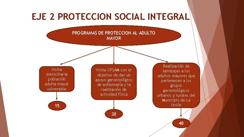 EJE 2 PROTECCION SOCIAL INTEGRAL PROGRAMAS DE PROTECCION AL ADULTO MAYOR Visita domiciliaria población