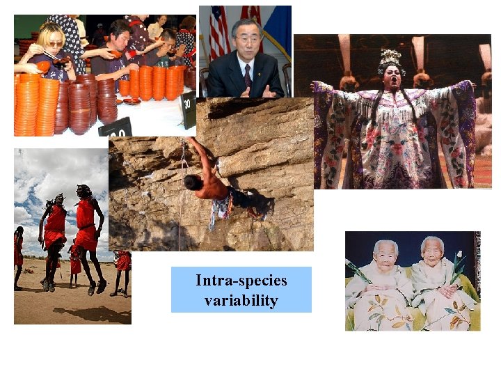 Intra-species variability 