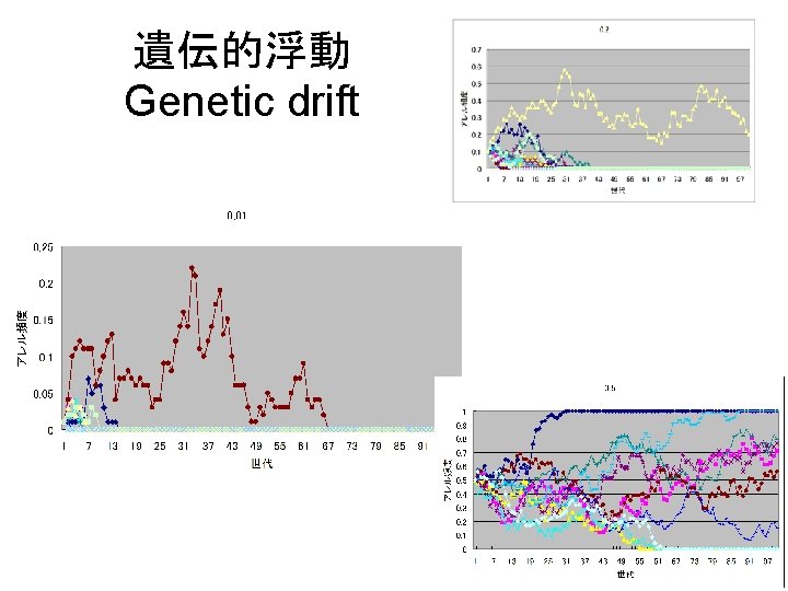 遺伝的浮動 Genetic drift 