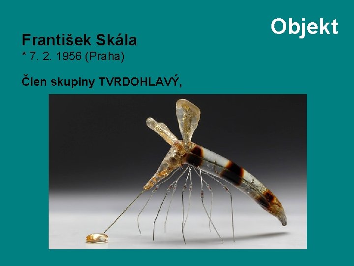 František Skála * 7. 2. 1956 (Praha) Člen skupiny TVRDOHLAVÝ, Objekt 