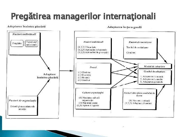 Pregătirea managerilor internaţionali 