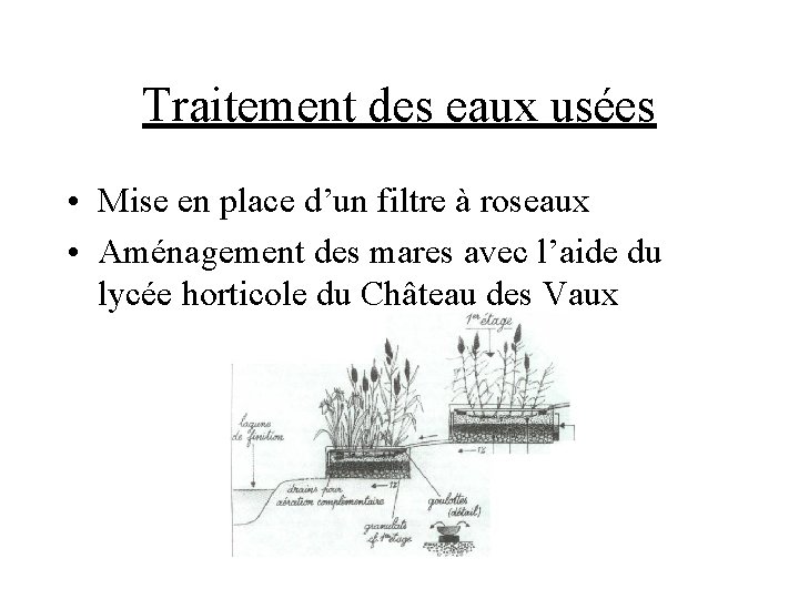 Traitement des eaux usées • Mise en place d’un filtre à roseaux • Aménagement