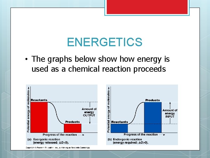 ENERGETICS • The graphs below show energy is used as a chemical reaction proceeds