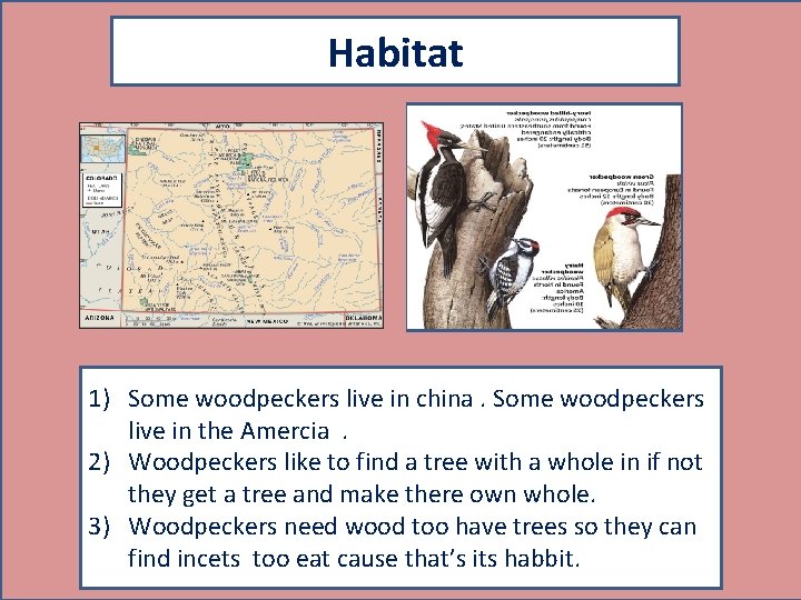 Habitat Map showing where your animal lives 1) Some woodpeckers live in china. Some