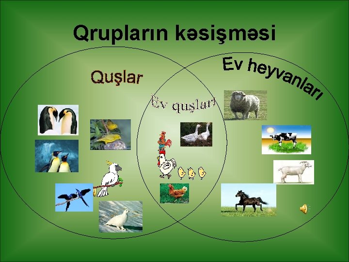 Qrupların kəsişməsi 