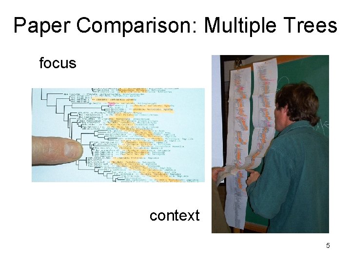 Paper Comparison: Multiple Trees focus context 5 