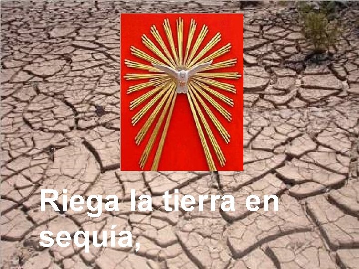 Riega la tierra en sequía, 