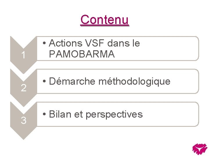 Contenu 1 2 3 • Actions VSF dans le PAMOBARMA • Démarche méthodologique •