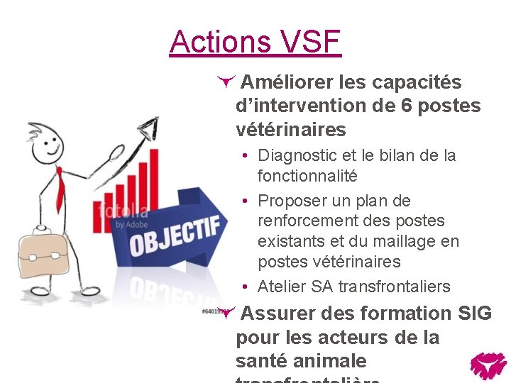 Actions VSF Améliorer les capacités d’intervention de 6 postes vétérinaires • Diagnostic et le