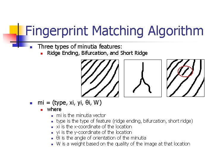 Fingerprint Matching Algorithm n Three types of minutia features: n n Ridge Ending, Bifurcation,