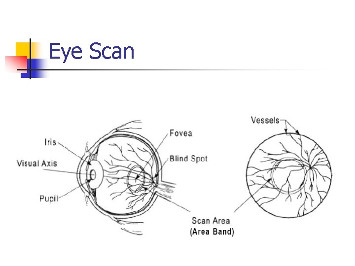 Eye Scan 