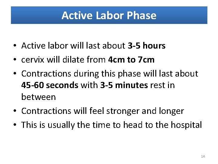Active Labor Phase • Active labor will last about 3 -5 hours • cervix