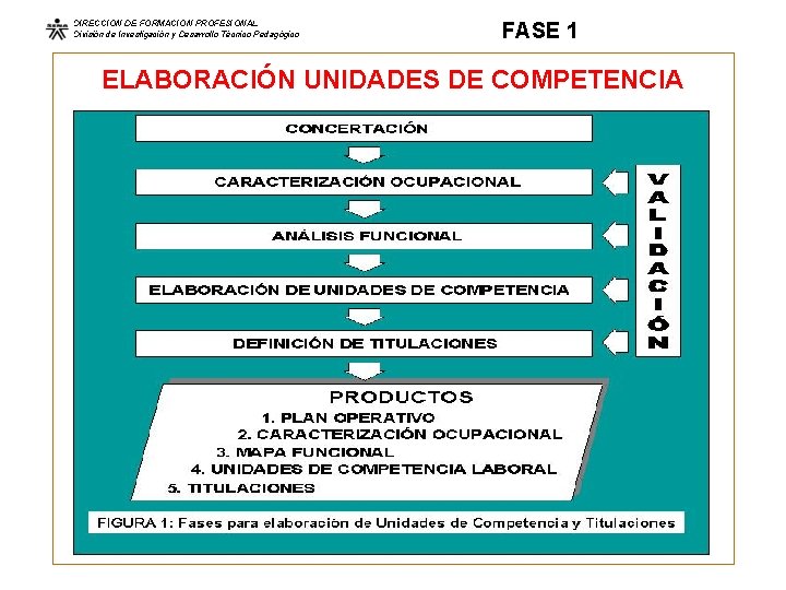 DIRECCION DE FORMACION PROFESIONAL División de Investigación y Desarrollo Técnico Pedagógico FASE 1 ELABORACIÓN