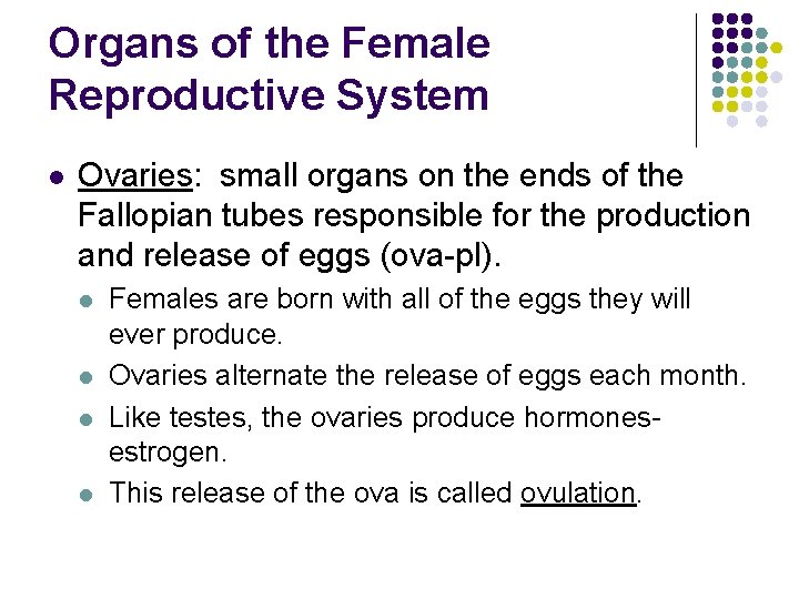 Organs of the Female Reproductive System l Ovaries: small organs on the ends of