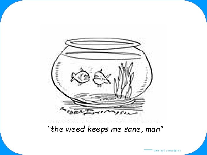 “the weed keeps me sane, man” 