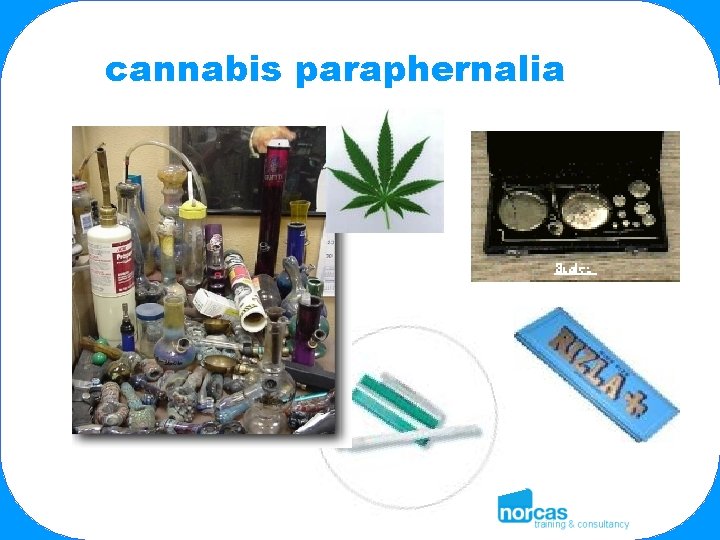 cannabis paraphernalia 