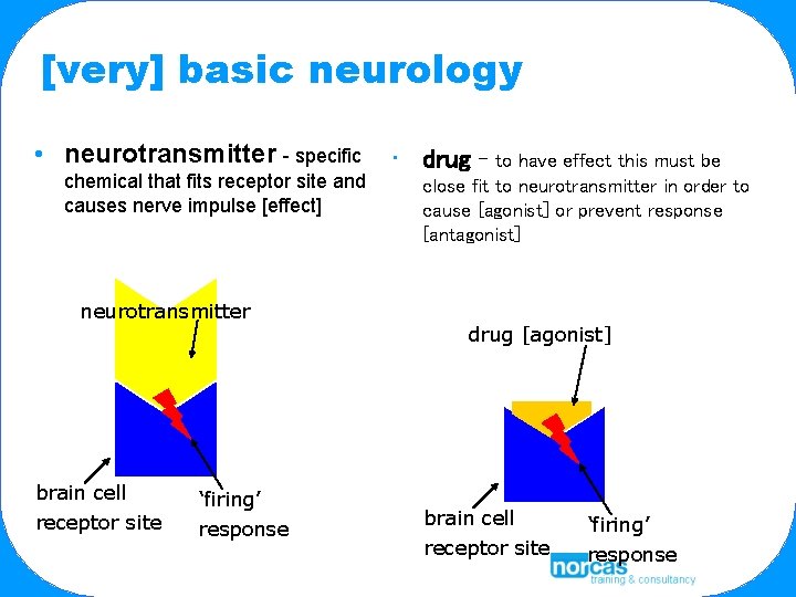 [very] basic neurology • neurotransmitter - specific chemical that fits receptor site and causes