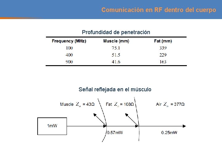 Comunicación en RF dentro del cuerpo Profundidad de penetración Señal reflejada en el músculo Comunicación en RF dentro del cuerpo Profundidad de penetración Señal reflejada en el músculo