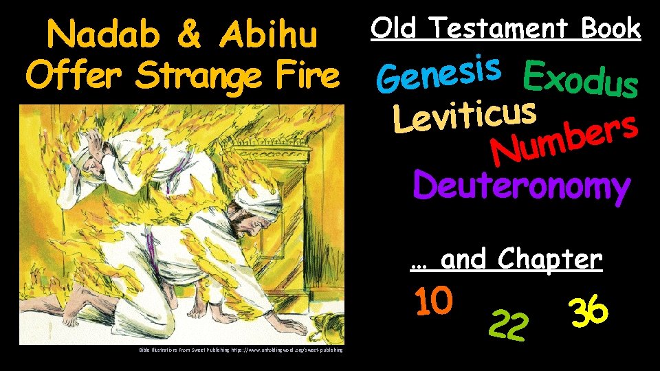 Nadab & Abihu Offer Strange Fire Genesis Exodus s u c i t i