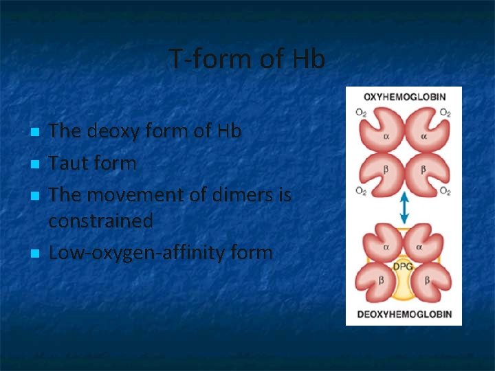 T-form of Hb n n The deoxy form of Hb Taut form The movement