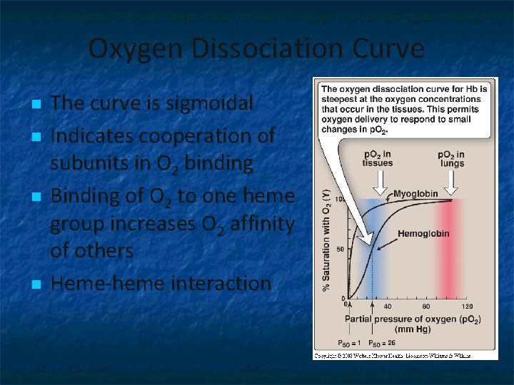 Oxygen Dissociation Curve n n The curve is sigmoidal Indicates cooperation of subunits in