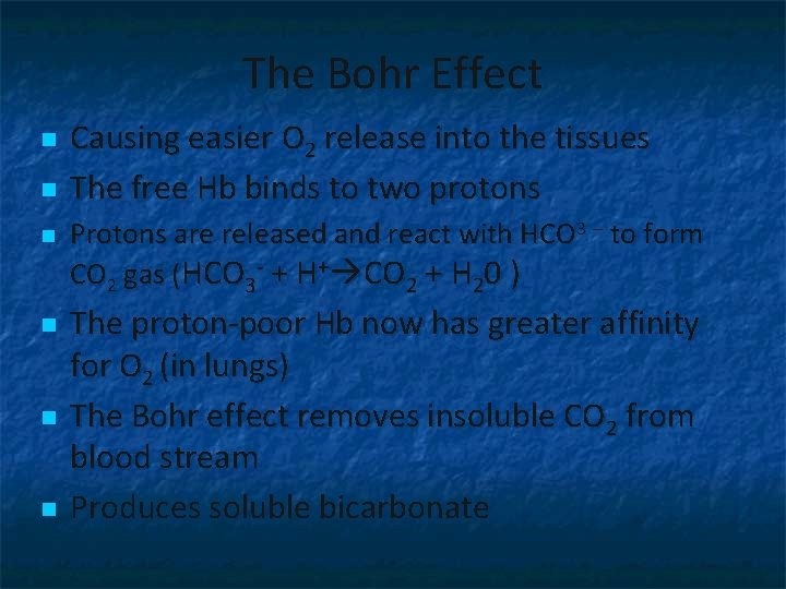 The Bohr Effect n n n Causing easier O 2 release into the tissues