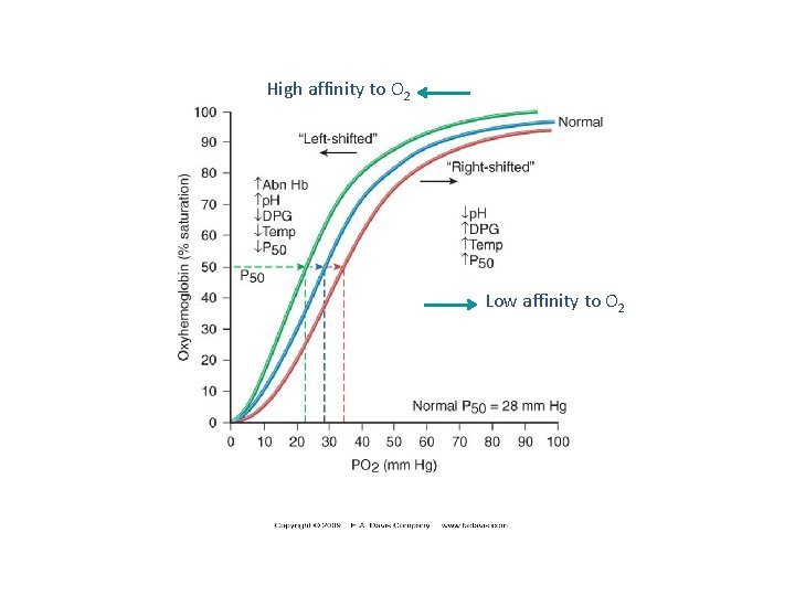 High affinity to O 2 Low affinity to O 2 