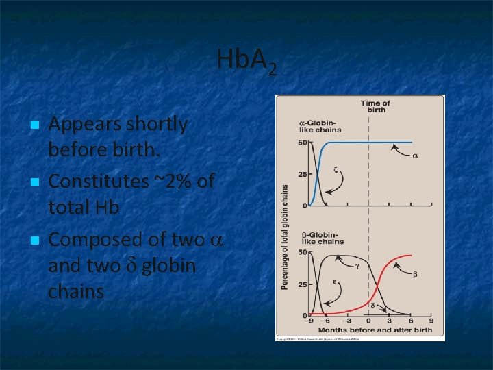 Hb. A 2 n n n Appears shortly before birth. Constitutes ~2% of total