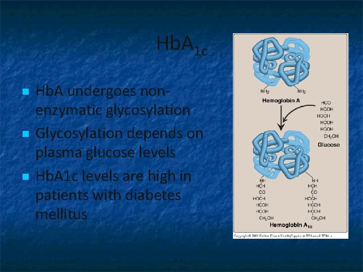 Hb. A 1 c n n n Hb. A undergoes nonenzymatic glycosylation Glycosylation depends