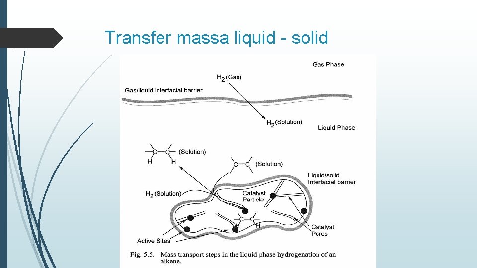 Transfer massa liquid - solid 