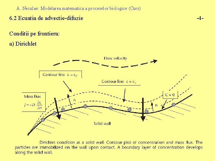 A. Neculae: Modelarea matematica a proceselor biologice (Curs) 6. 2 Ecuatia de advectie-difuzie Conditii