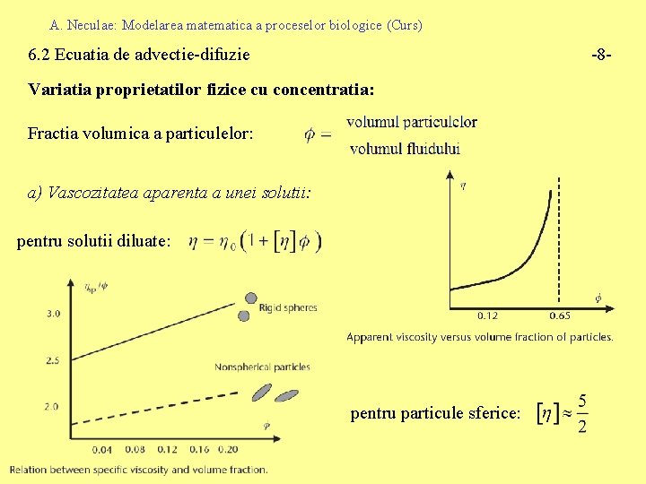 A. Neculae: Modelarea matematica a proceselor biologice (Curs) 6. 2 Ecuatia de advectie-difuzie -8