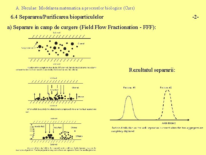 A. Neculae: Modelarea matematica a proceselor biologice (Curs) 6. 4 Separarea/Purificarea bioparticulelor -2 -