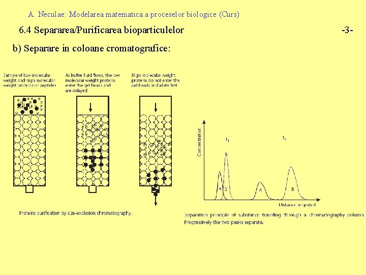 A. Neculae: Modelarea matematica a proceselor biologice (Curs) 6. 4 Separarea/Purificarea bioparticulelor b) Separare