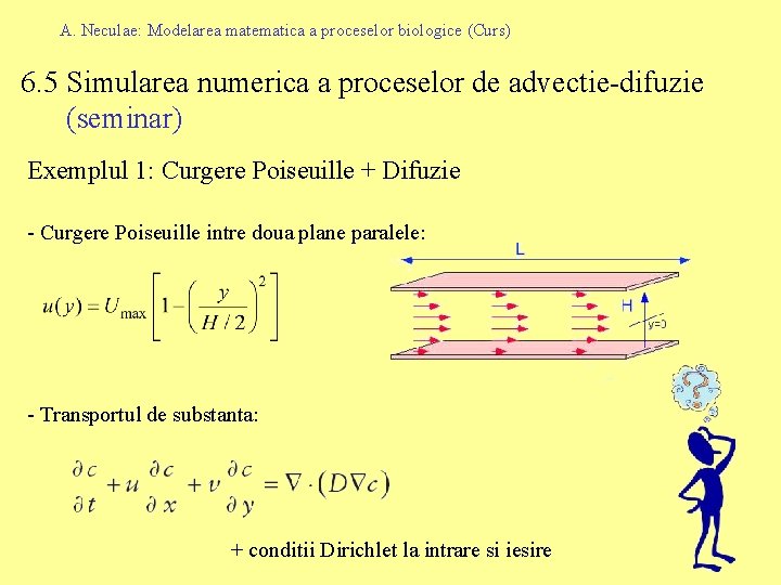 A. Neculae: Modelarea matematica a proceselor biologice (Curs) 6. 5 Simularea numerica a proceselor