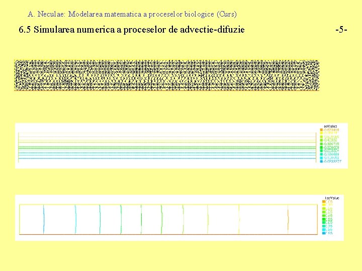 A. Neculae: Modelarea matematica a proceselor biologice (Curs) 6. 5 Simularea numerica a proceselor