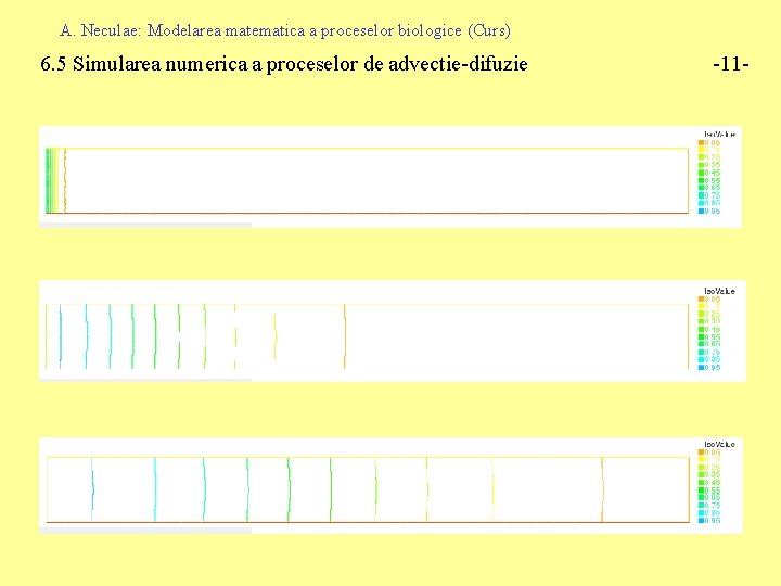 A. Neculae: Modelarea matematica a proceselor biologice (Curs) 6. 5 Simularea numerica a proceselor