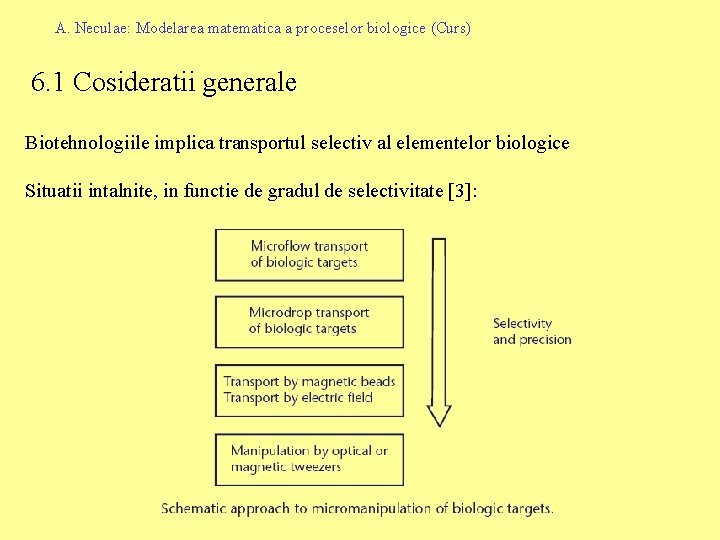 A. Neculae: Modelarea matematica a proceselor biologice (Curs) 6. 1 Cosideratii generale Biotehnologiile implica