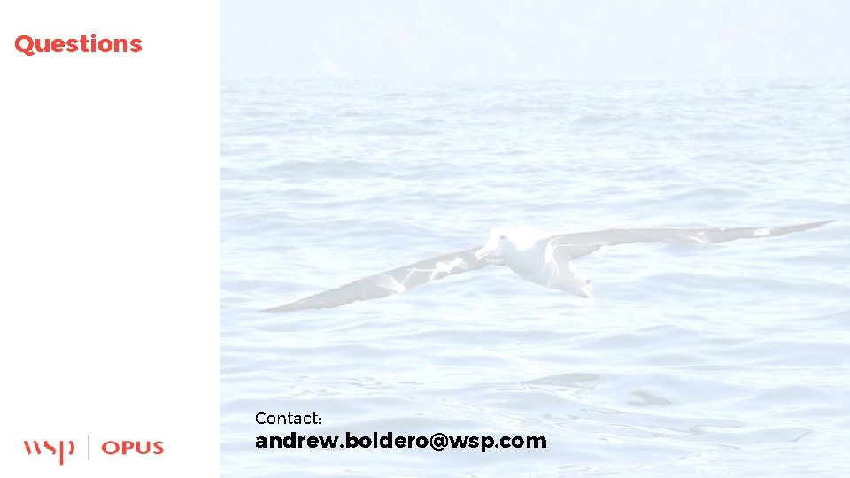 Questions Contact: andrew. boldero@wsp. com 